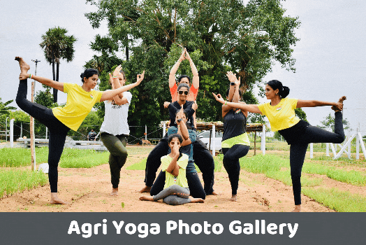 Best Online Yoga Classes in Chennai