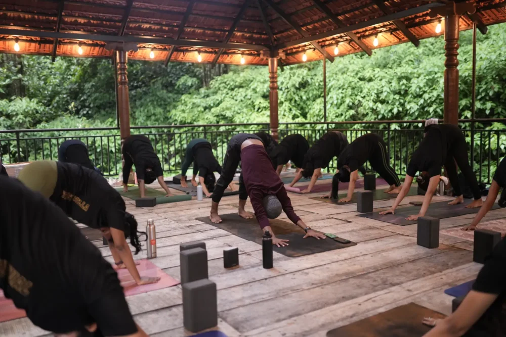 Online Hatha Yoga 2026